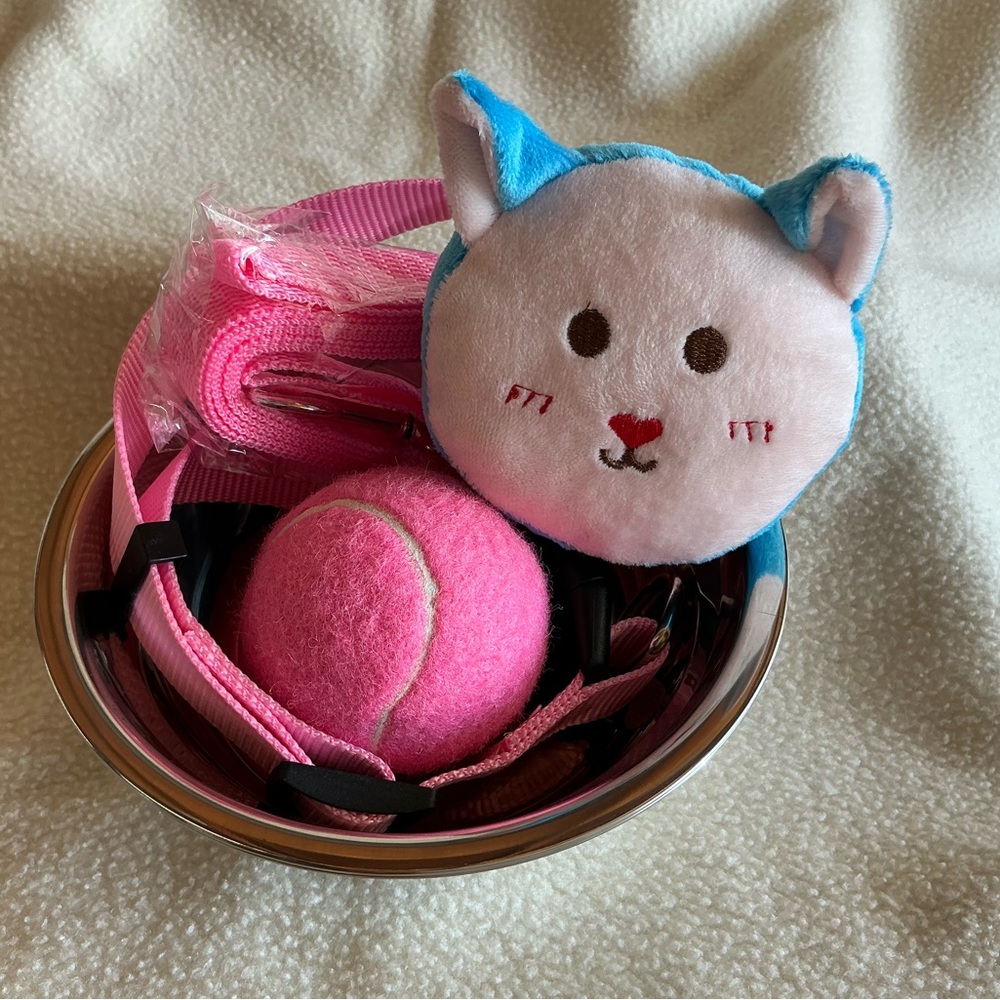 6 piece Pet toys and Accessory Set